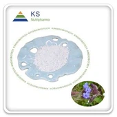 Cyanotis arachnoidea þykkni duft