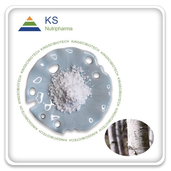 Birkiberkisútdráttur