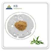 Andrographis Paniculata duft