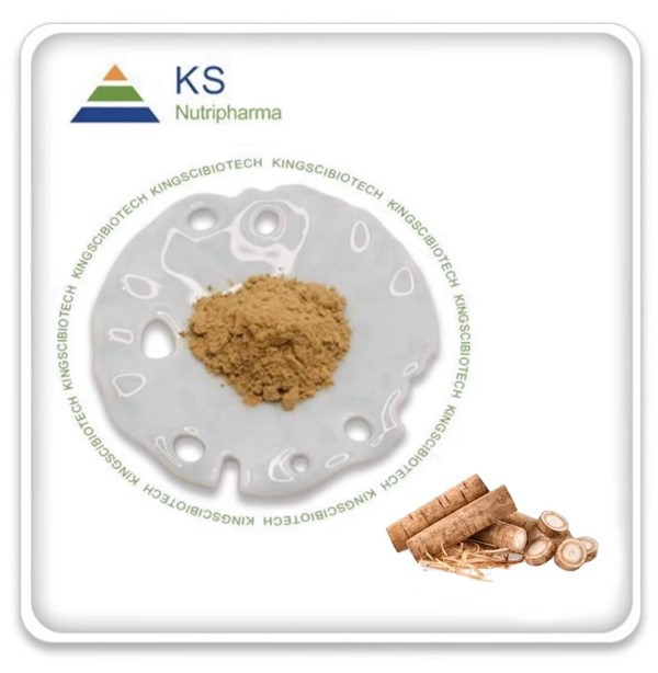 Burnrótarútdráttur