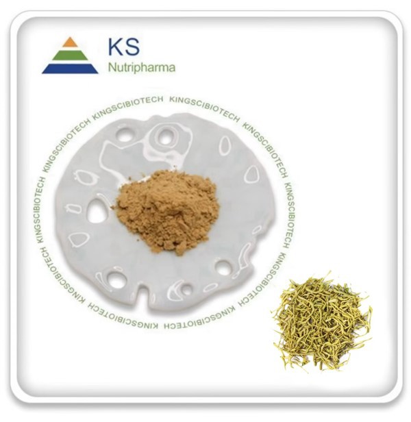 Lonicera Japonica þykkni